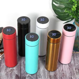 Smartwater Bottle with Temperature Display