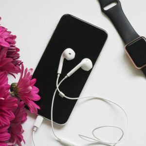 In-Ear Wired Earphones with Mic