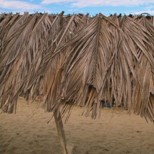 Restaurant POS System